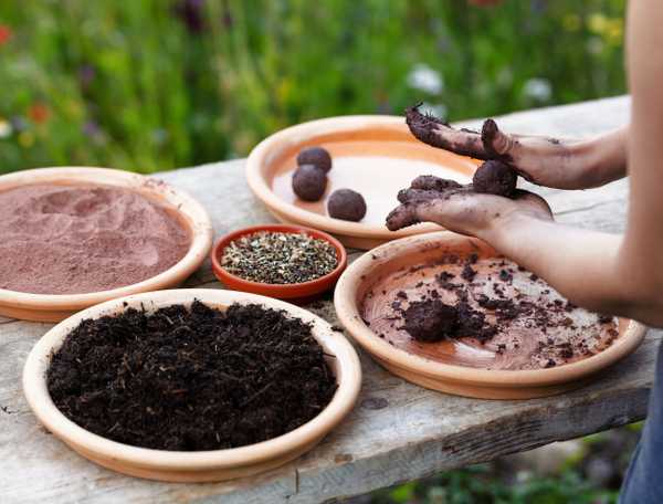 A gardener making seed bombs 