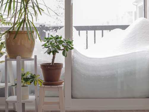 A huge pile of snow on a balcony through patio glass door with houseplants inside during snow storm